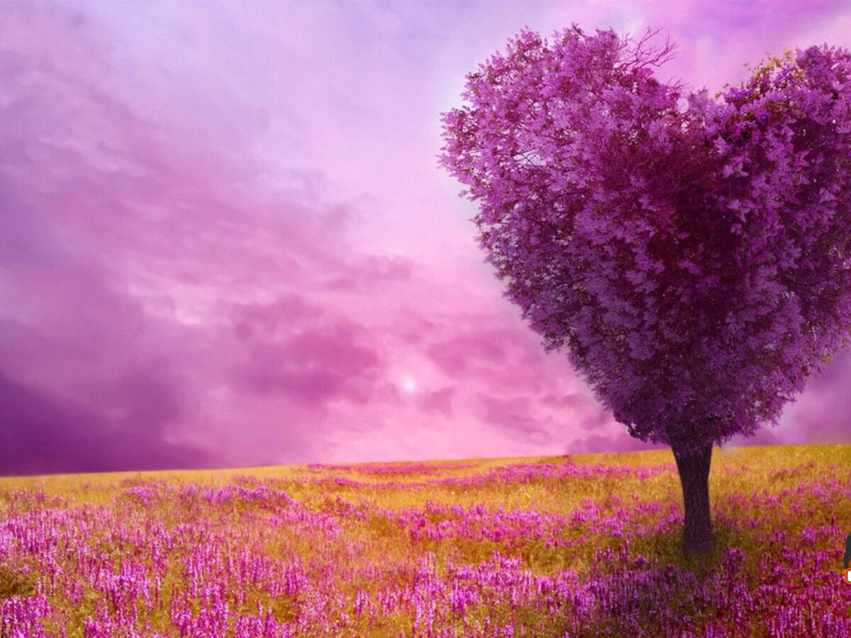Download Spring iPhone Wallpaper 4K & Ultra HD 2023 Download Spring iPhone Wallpaper 4K & Ultra HD 2023