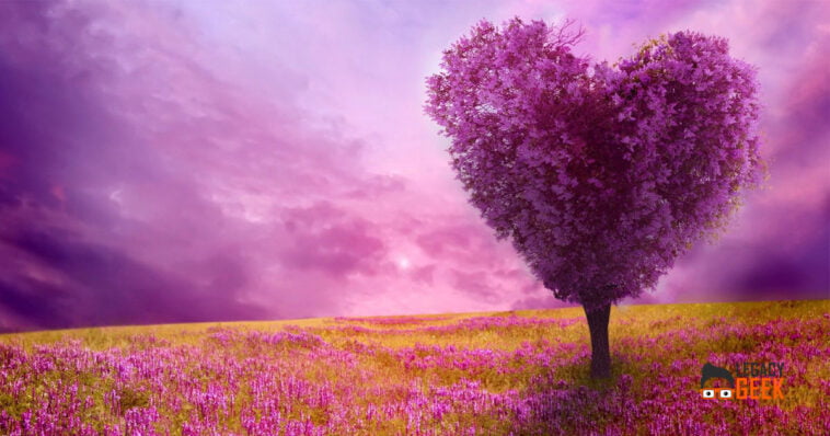 Download Spring iPhone Wallpaper 4K & Ultra HD 2023 Download Spring iPhone Wallpaper 4K & Ultra HD 2023
