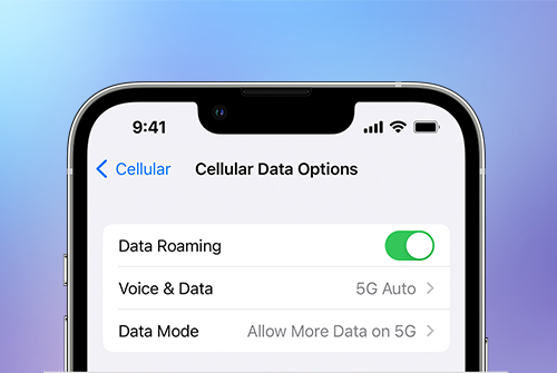 Fix iPhone 14 Cellular Data Problems