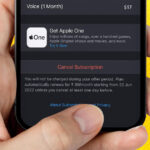 How to cancel subscriptions on iPhone, iPad, Mac, and Apple Watch
