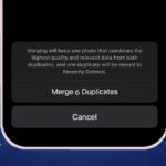 How to delete duplicate photos on iPhone, iPad, and Mac