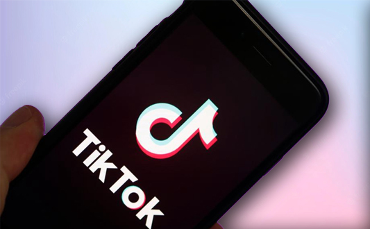 Stitch on TikTok