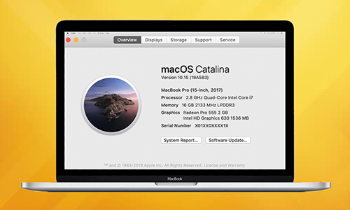 fix Zoom not working on Mac