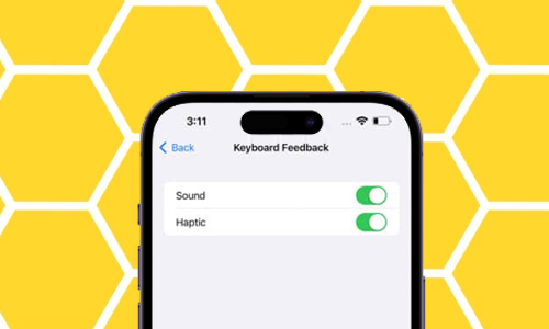 fix Haptic Feedback not working on iPhone